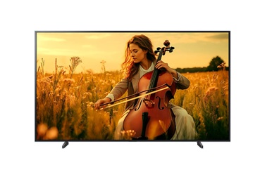 Bravia 5