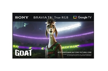 Sony XR79
